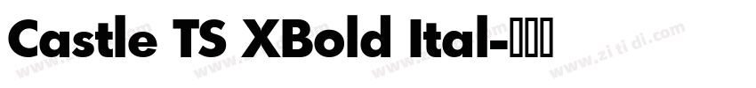 Castle TS XBold Ital字体转换